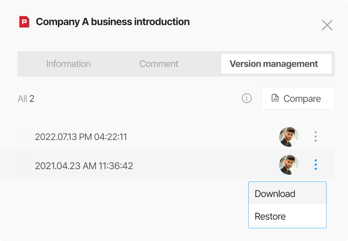 Project File Manager Features - File Version Management